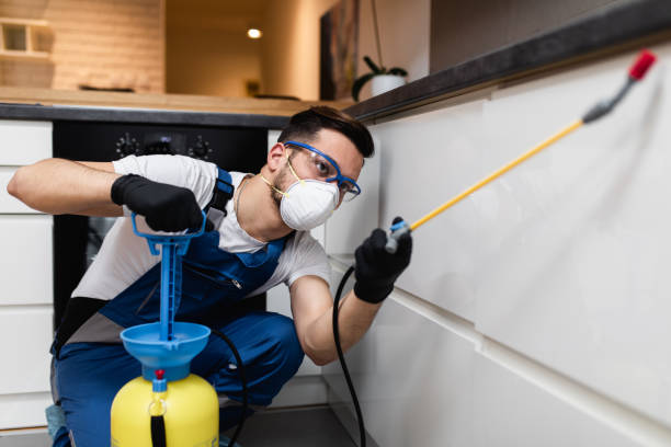 Reliable Hilton Head Island, SC Pest Control Solutions