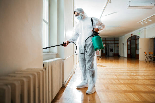 Best Pest Removal Services  in Hilton Head Island, SC